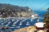 Casino at Catalina