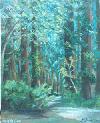 redwoods painting